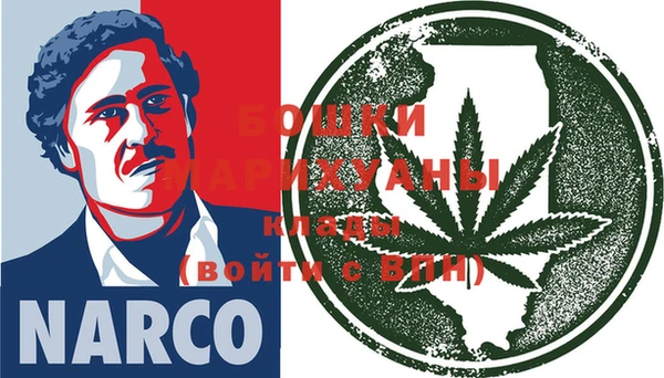 индика Верея