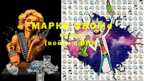 индика Верея