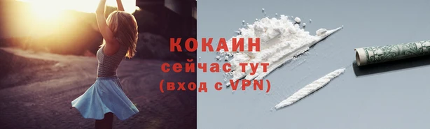 индика Верея