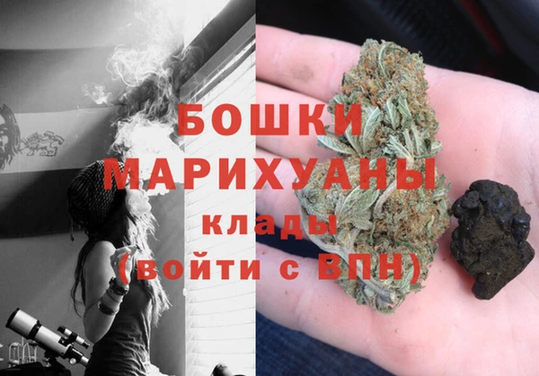 индика Верея
