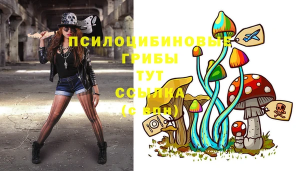 индика Верея