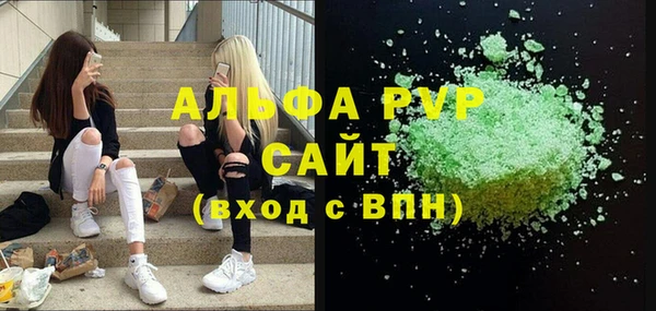 индика Верея