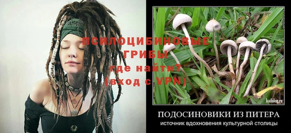 индика Верея