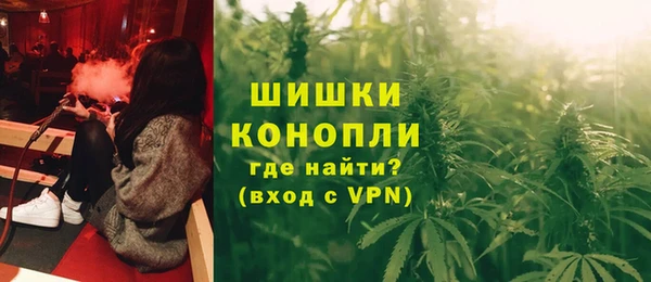 индика Верея