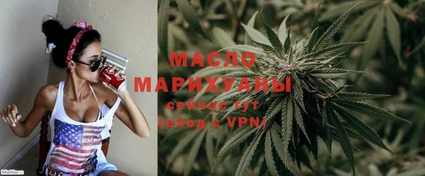 индика Верея