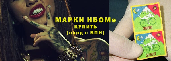 индика Верея