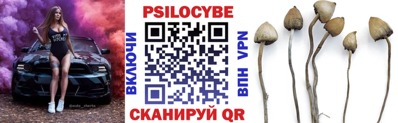 где продают   Островной  Галлюциногенные грибы Cubensis 